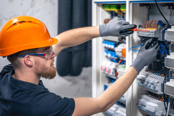 Best Electrician for Home Renovation  in Memphis, MI